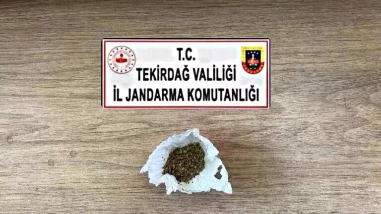 tekirdagda-uyusturucu-ve-silah-operasyonu-VU2nQCrU.jpg