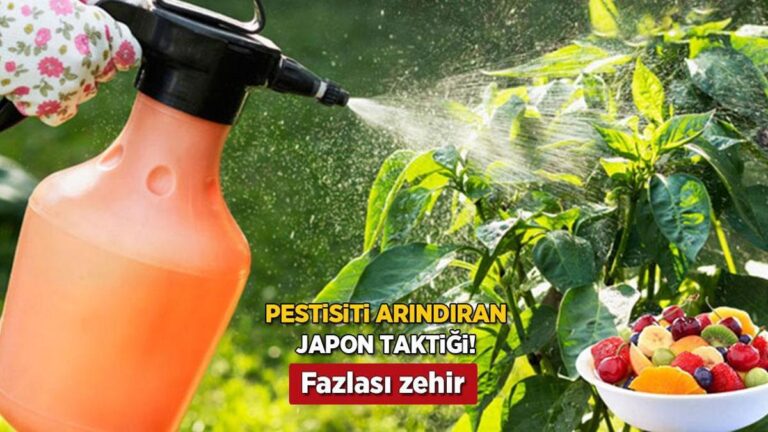 sebze-meyvedeki-pestisiti-yok-eden-japon-taktigi-evdeki-2-malzeme-yetiyor-QSgHyUlI.jpg