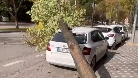 bursada firtina agaci devirdi ydyd9MXW.jpg