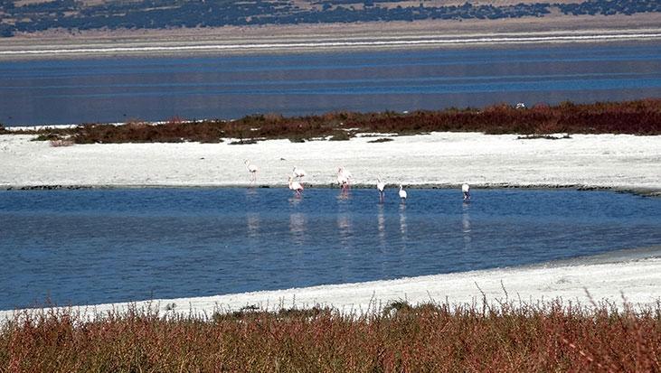 iklim krizi sessiz ilerliyor prof gulle bundan sonra hepsi kuculme trendinde rSFzivag.jpg